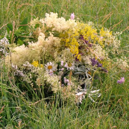 BUCHET ( Radaseni,